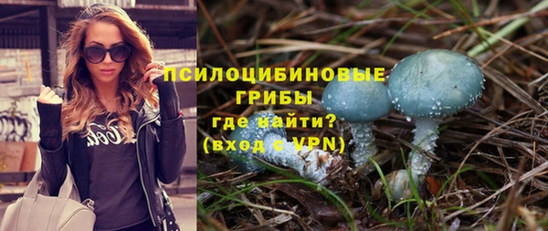амф Алексин