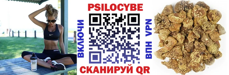 где можно купить   Богородск  Псилоцибиновые грибы ЛСД 